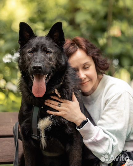 Гудини ищет дом