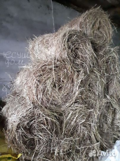 Сено мини рулоны