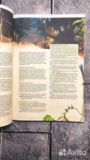 Книга игрока Dungeons & Drаgons, DnD, D&D, днд