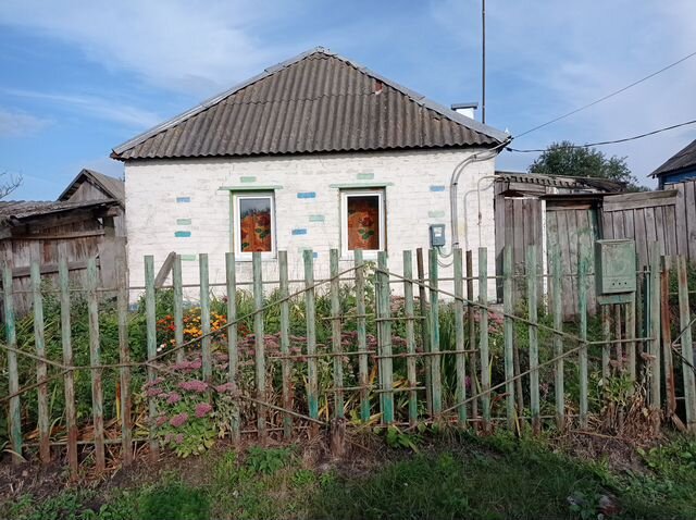 Село чапли курская область. Село чапли курская область. Село чапли курская область. Чапли курская область. Дичня курская область.