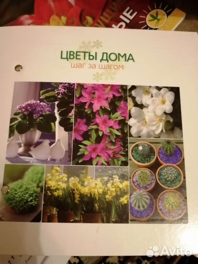 Книги о Комнатных цветах