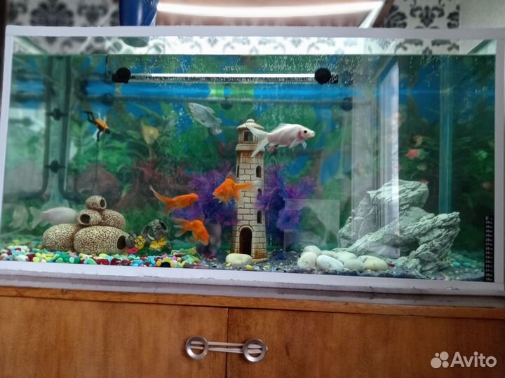 Аквариум с тумбой