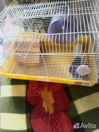 Клетка для грызунов бу
