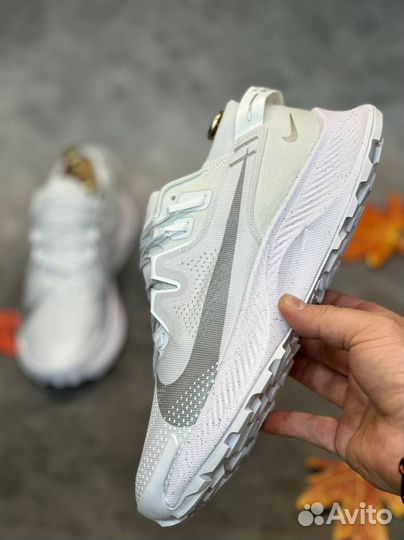 Nike pegasus traill 2 (45)