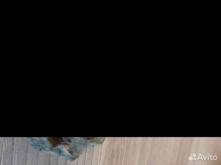 Окаменелости, брахиопода,аммонит,коралл