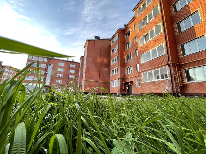 3-к. квартира, 76,1 м², 3/5 эт.