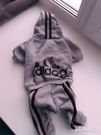 Одежда для кошек