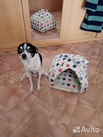 Домик для кошки новый