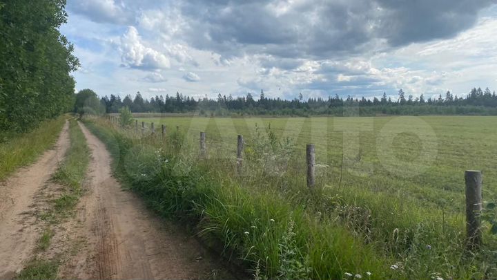 Участок 5,9 га (СНТ, ДНП)