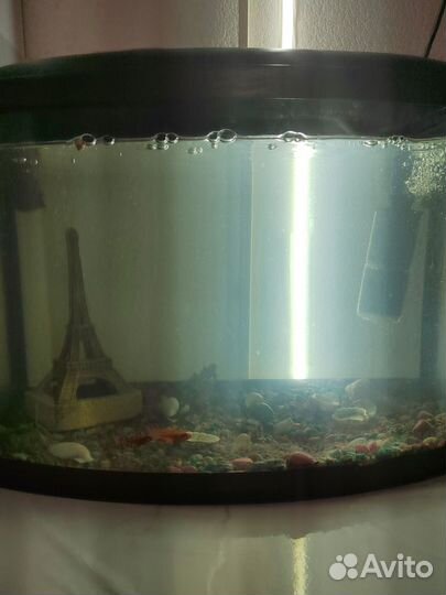 Аквариум 50 литров