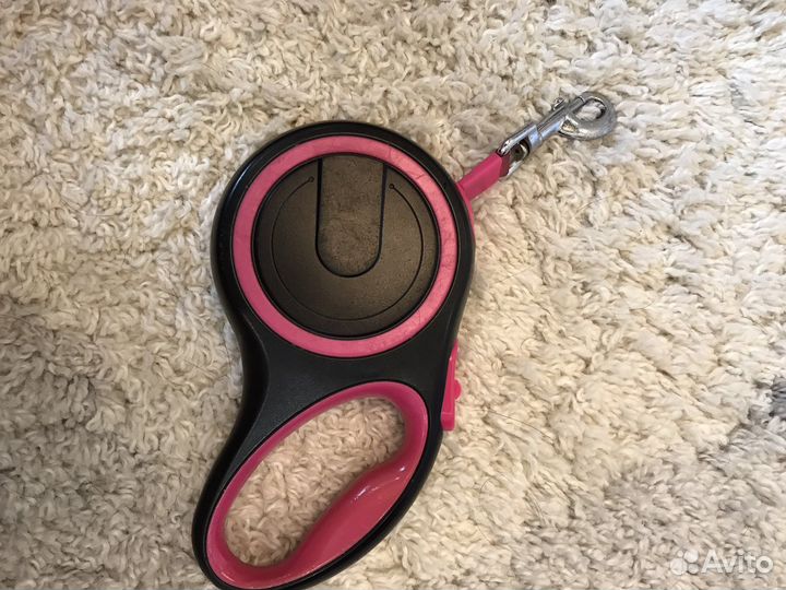 Амуниция для собак