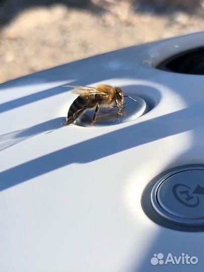 Обучение управлению квадрокоптером и FPV