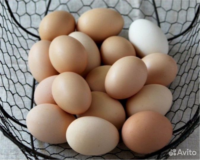Яйцо куриное