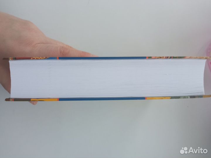 Божественные правила церкви Книга