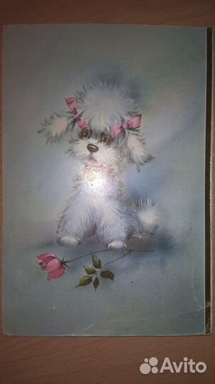 Открытка из Англии прошлого века