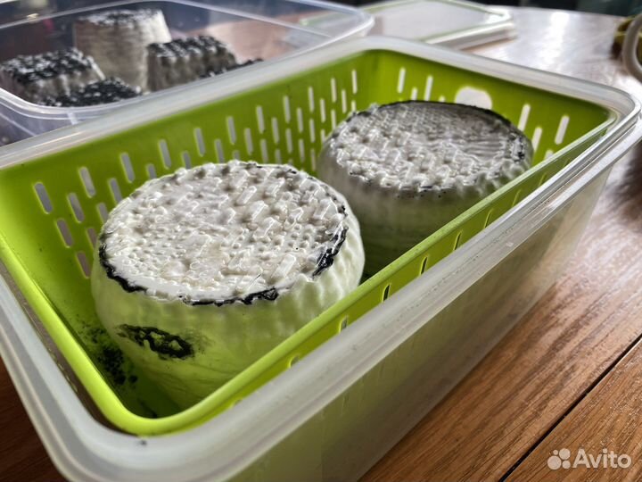 Козье молоко