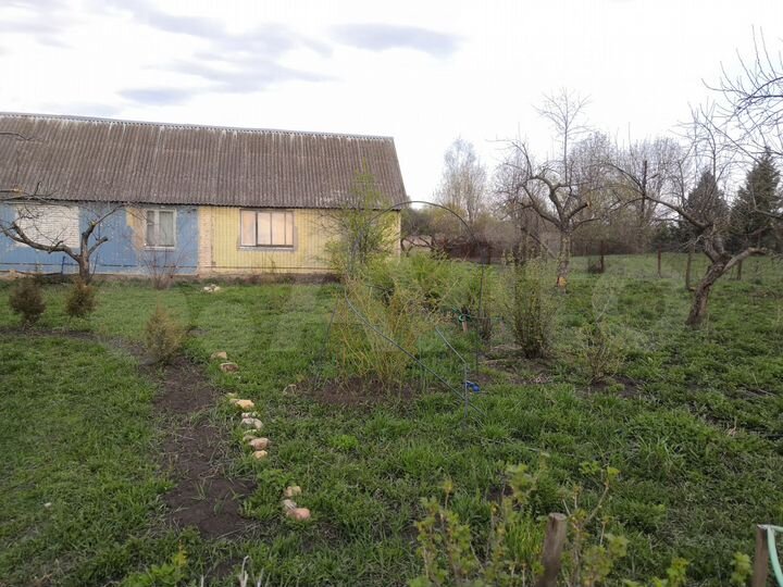 Участок 34 сот. (СНТ, ДНП)