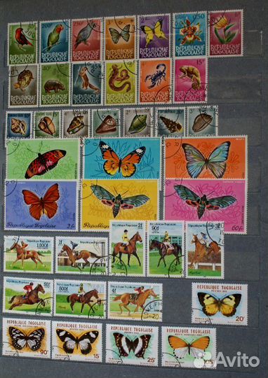 Продам коллекцию марок фауна