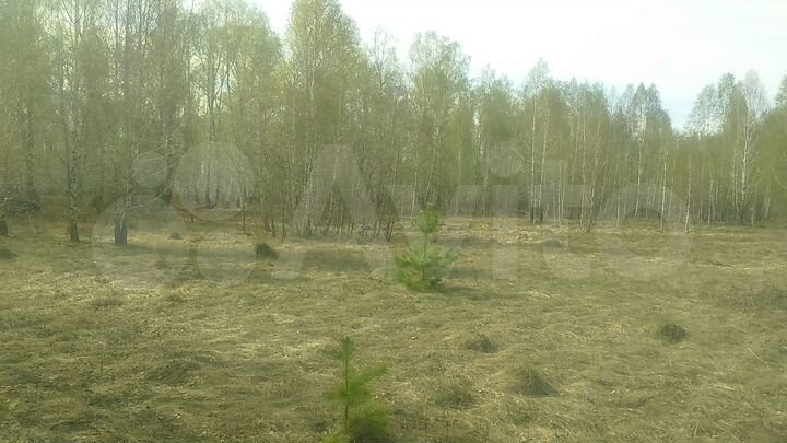 Участок 36 сот. (ИЖС)