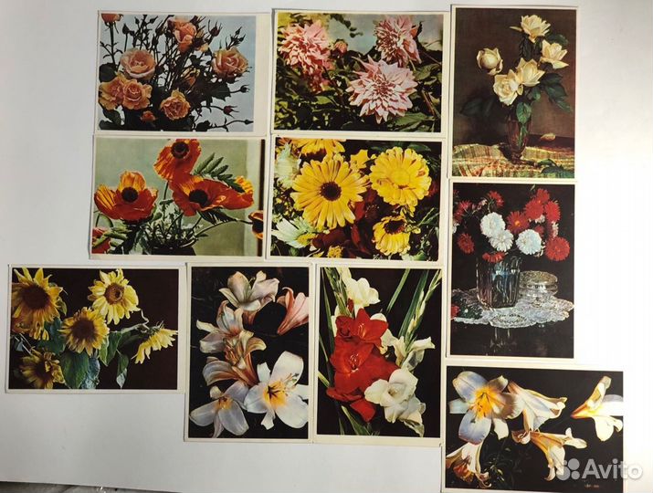 Открытки Цветы, Рига, 1956 год