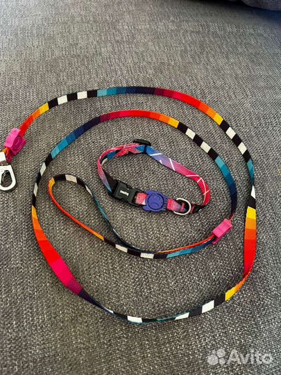 Ошейник и поводок для маленьких пород собак