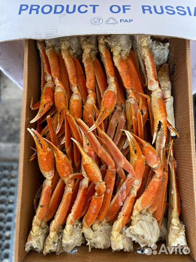 Краб стригун