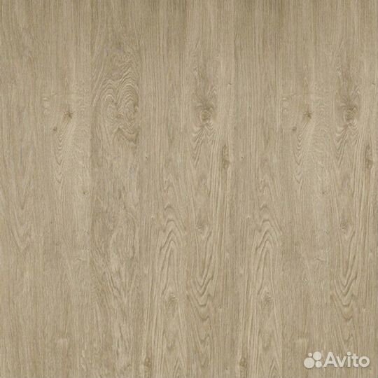 Intermezzo 833 Дуб Соната Бежевый 33 класс