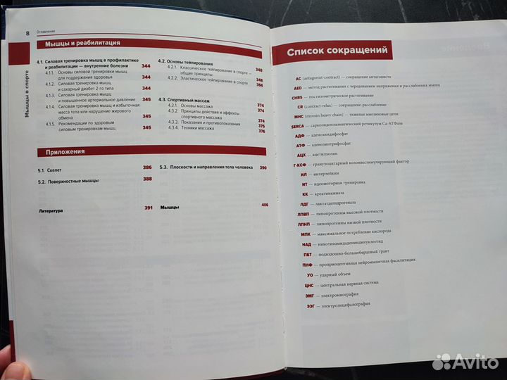 Мышцы в спорте