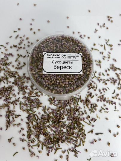 Набор сухоцветов