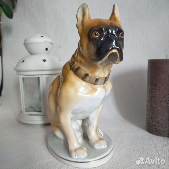 Фарфоровая статуэтка собака лфз Боксер