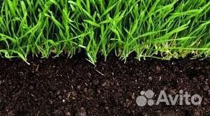 Торфогрунт