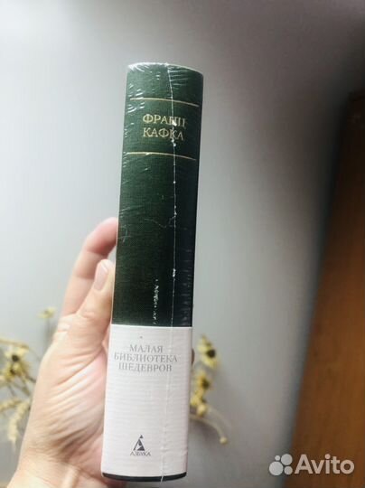 Франц Кафка(Малая Библиотека шедевров)