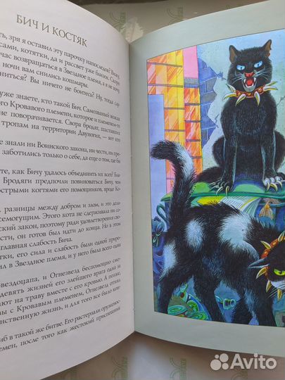 Коты-воители 