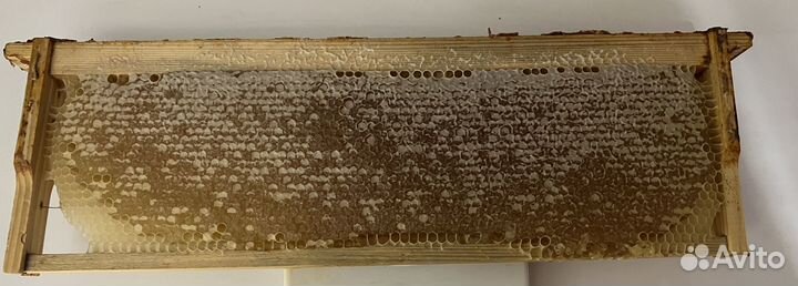 Мёд в сотах в раме свежий