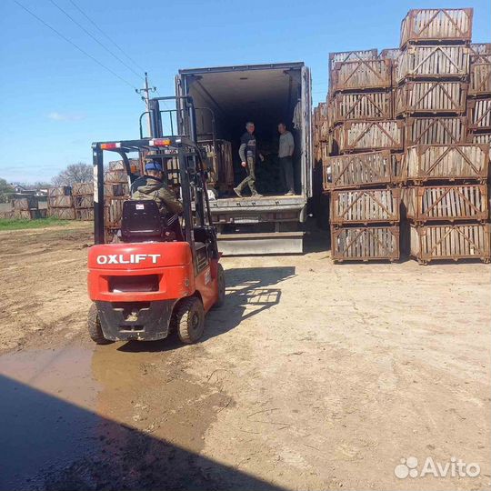 Грузоперевозки по стране с оплатой в одну сторону