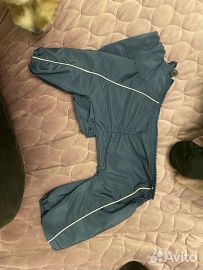 Комбинезон дождевик для кобеля