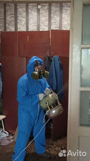 Дезинфекция