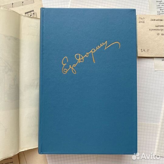 Книга Ефим Дорош - Дождь пополам с солнцем