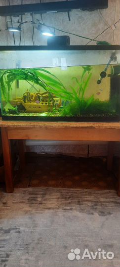 Аквариум