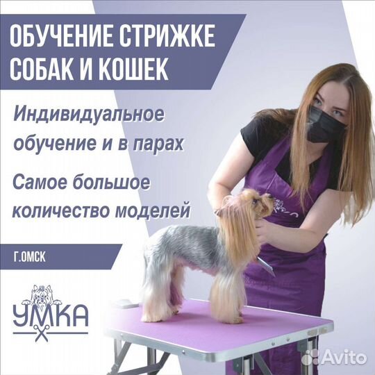 Обучение стрижке собак, курс груминга