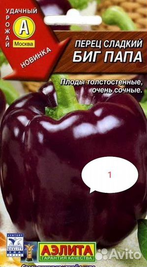 Рассада перца