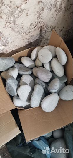 Аквариумные креветки, улитки, фильтр, камни, грунт