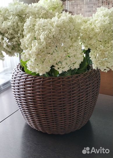 Кашпо для цветов 20 л