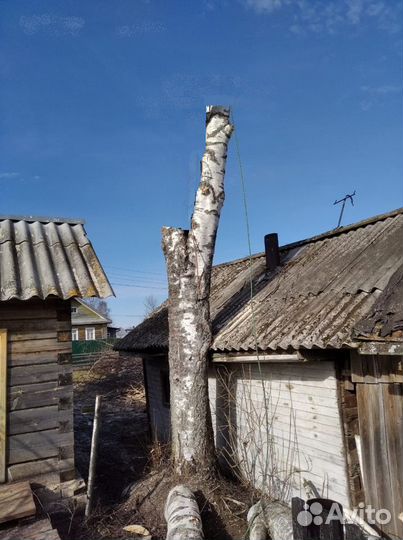 Валка-спил-уборка аварийных деревьев,веток,кустов