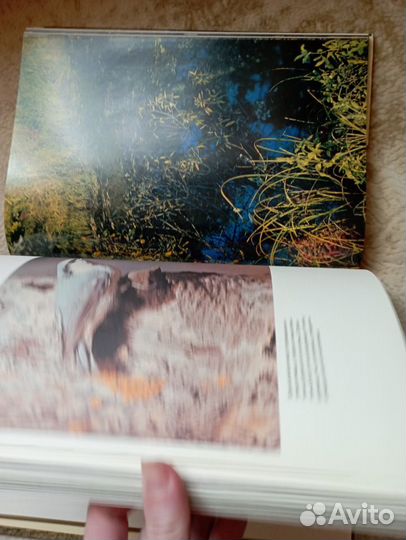 Мещерская сторона С. Приклонский 1981г