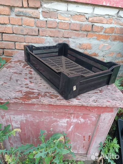 Ящик для хранения ягод