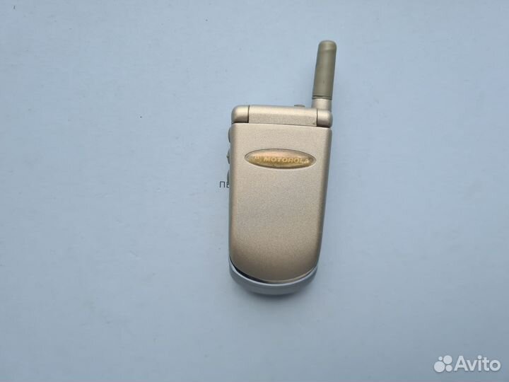 Motorola V50