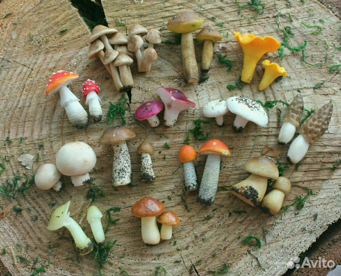 Игрушки из полимерной глины Фрукты овощи