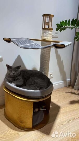 Когтеточка с домиком и гамаком