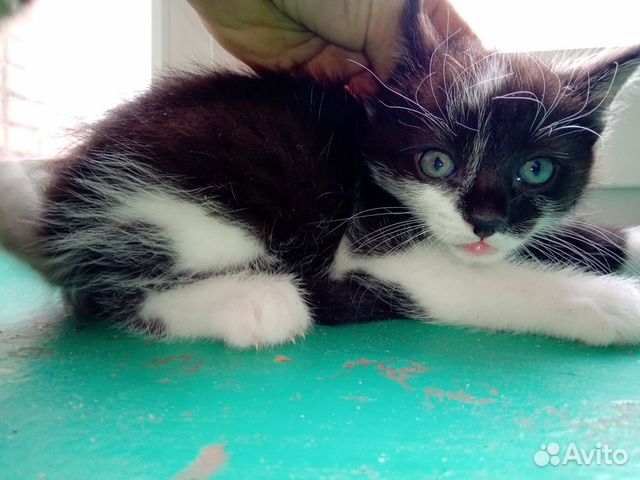 Мальчик 2 годика (д.р.21.03.20)